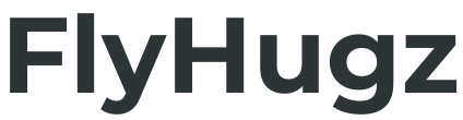 FlyHugz Travel Pillow